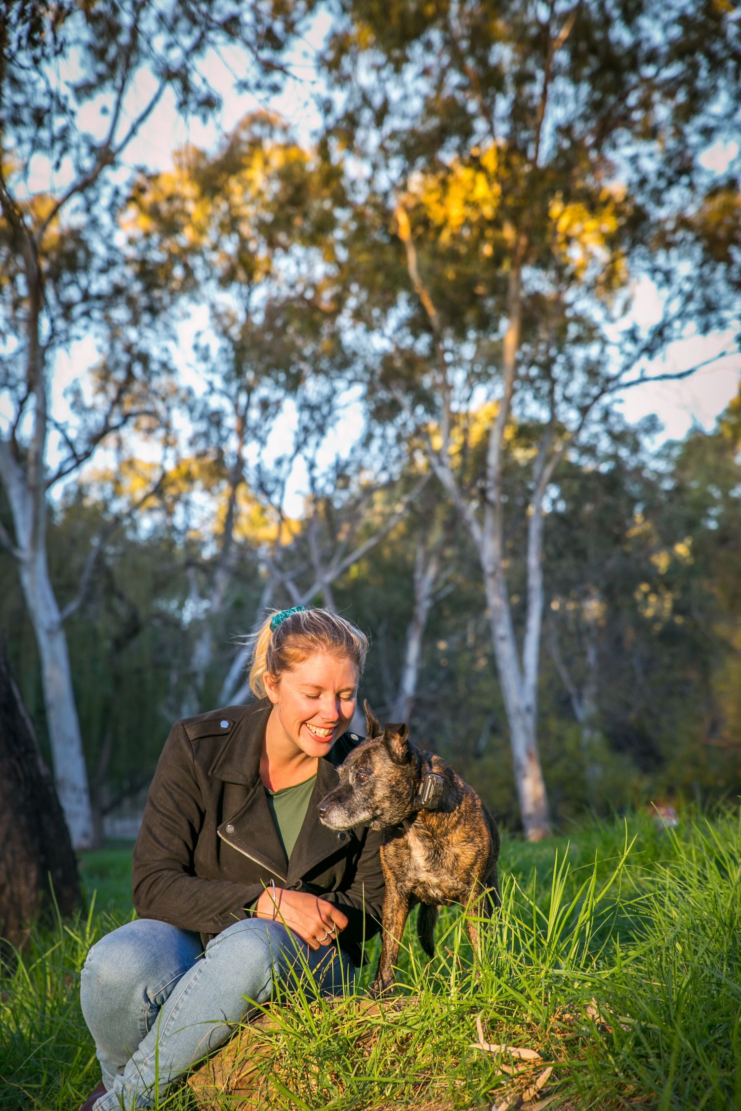 Dog Photographer Adelaide
