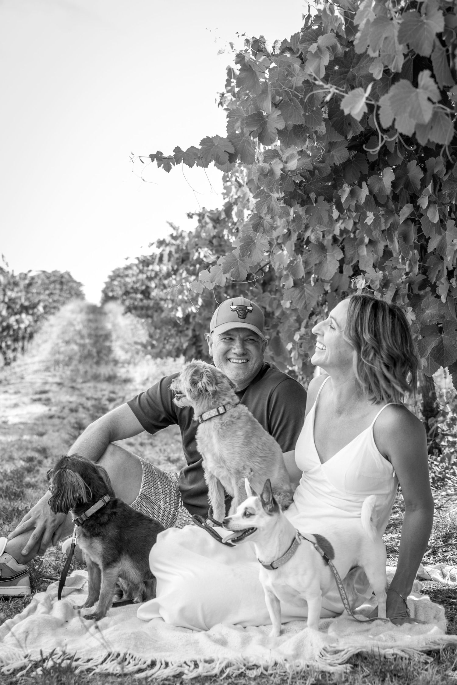 Adelaide Family Pet Portraits