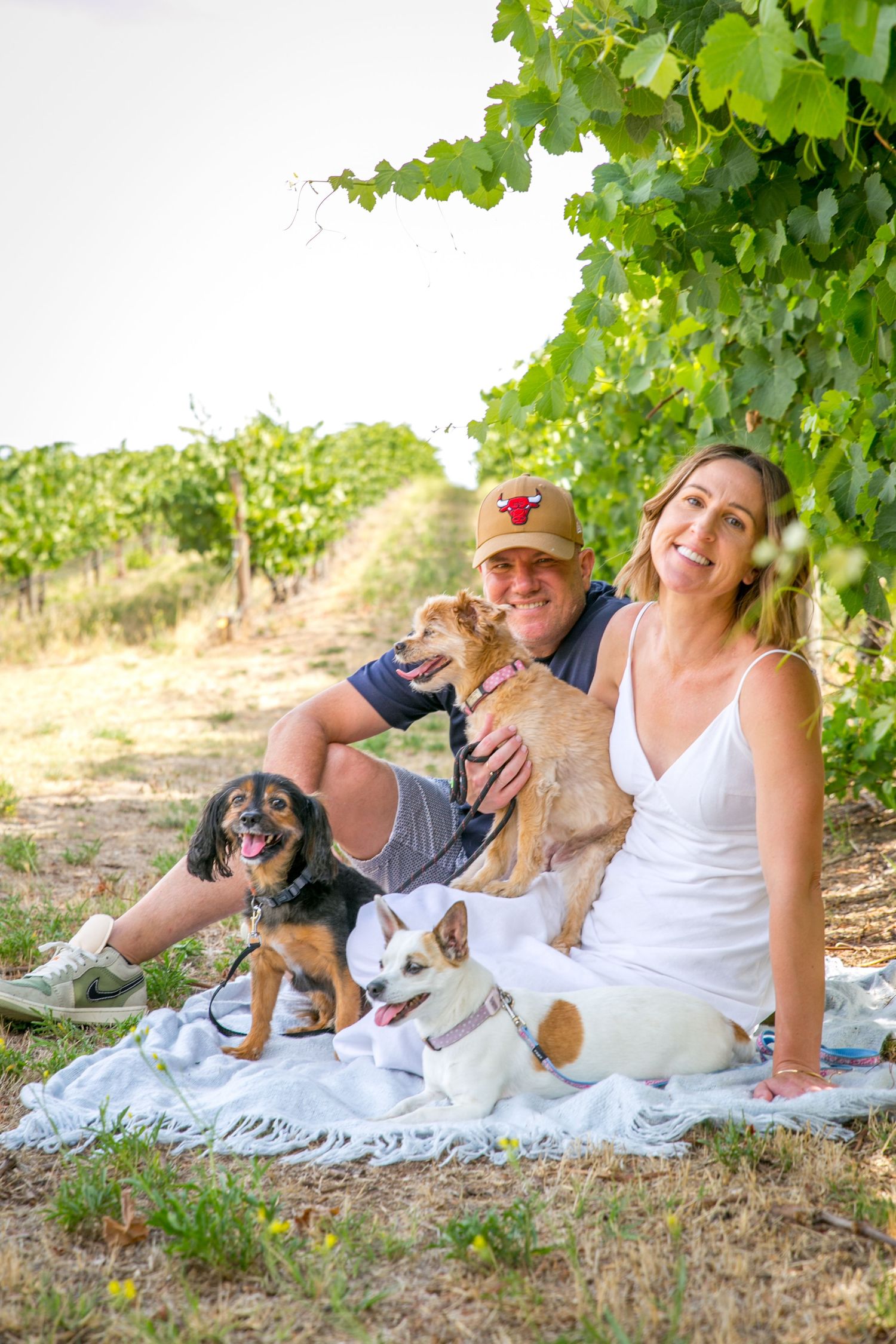 Adelaide Family Pet Photography