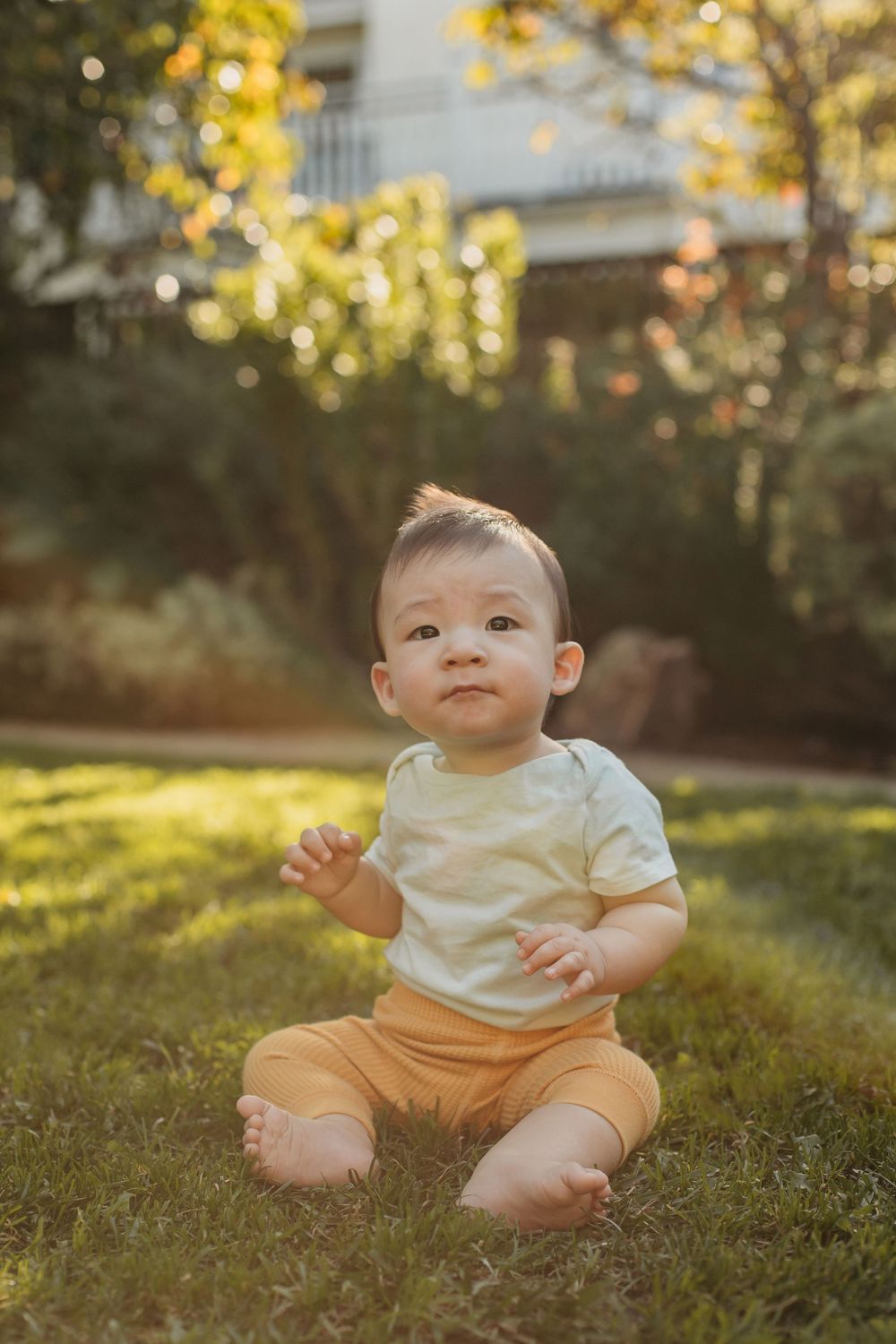 A toddler sits in the grass and looks up during golden hour.