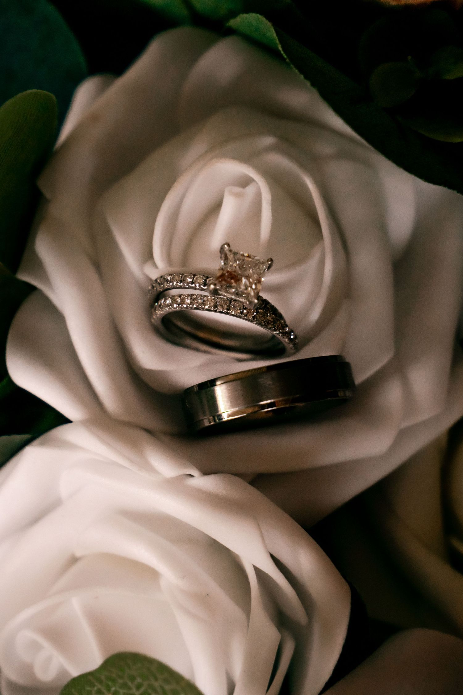 Wedding rings nestled on white rose petals in dramatic black and white photography.