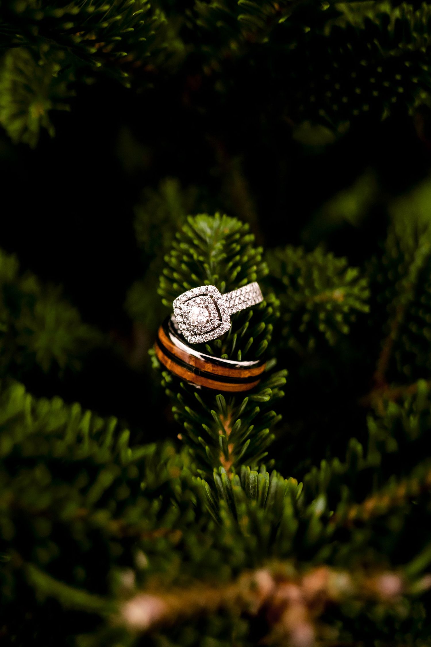 Close-up shots of diamond engagement rings with natural greenery in the background.