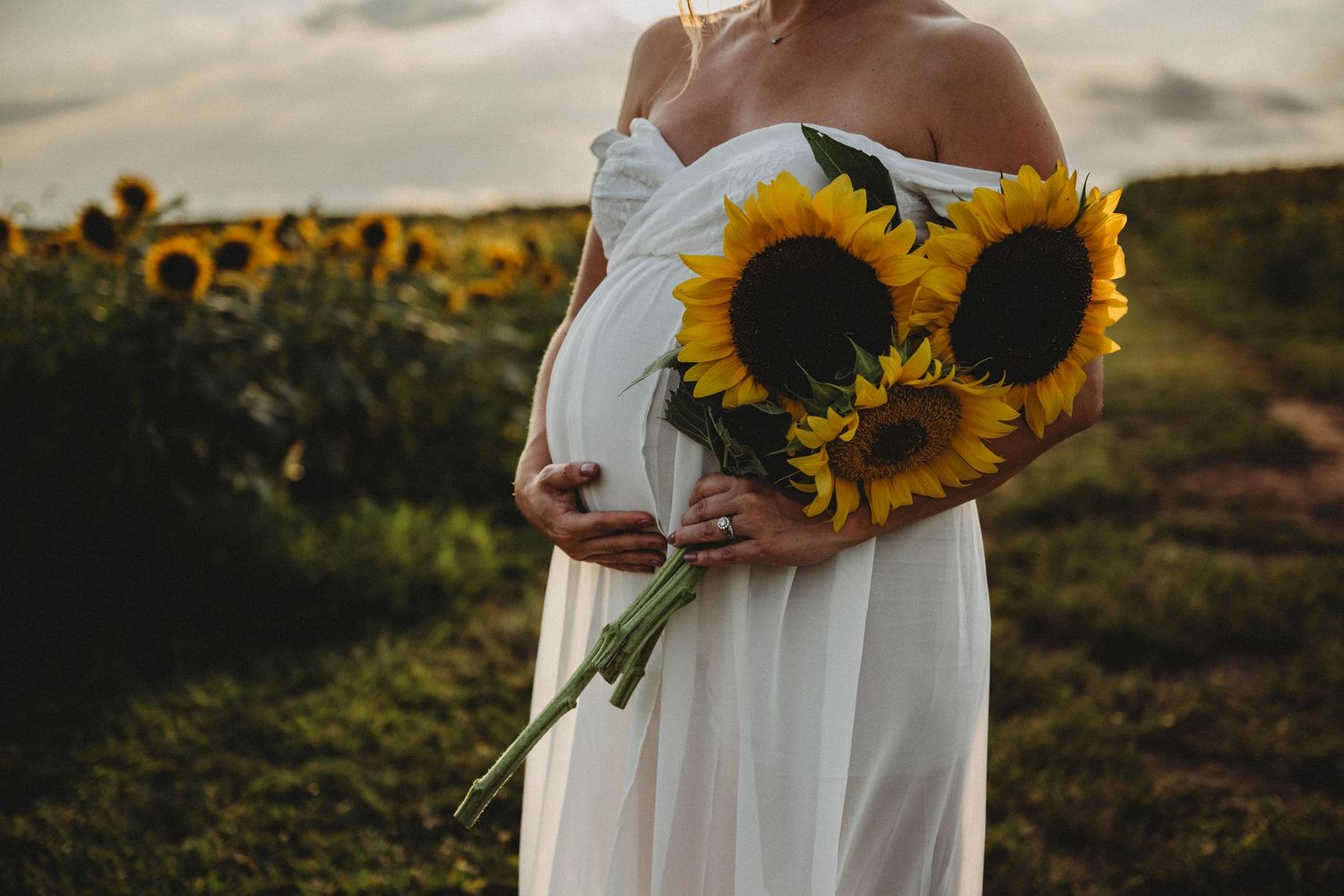 Romantic sunset engagement photos in tall golden grass field.