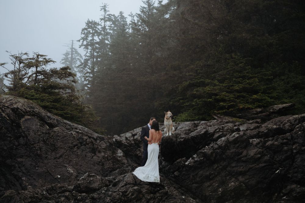 A figure in a white wedding dress stands on rugged coastal rocks surrounded by misty evergreen forest in the background.