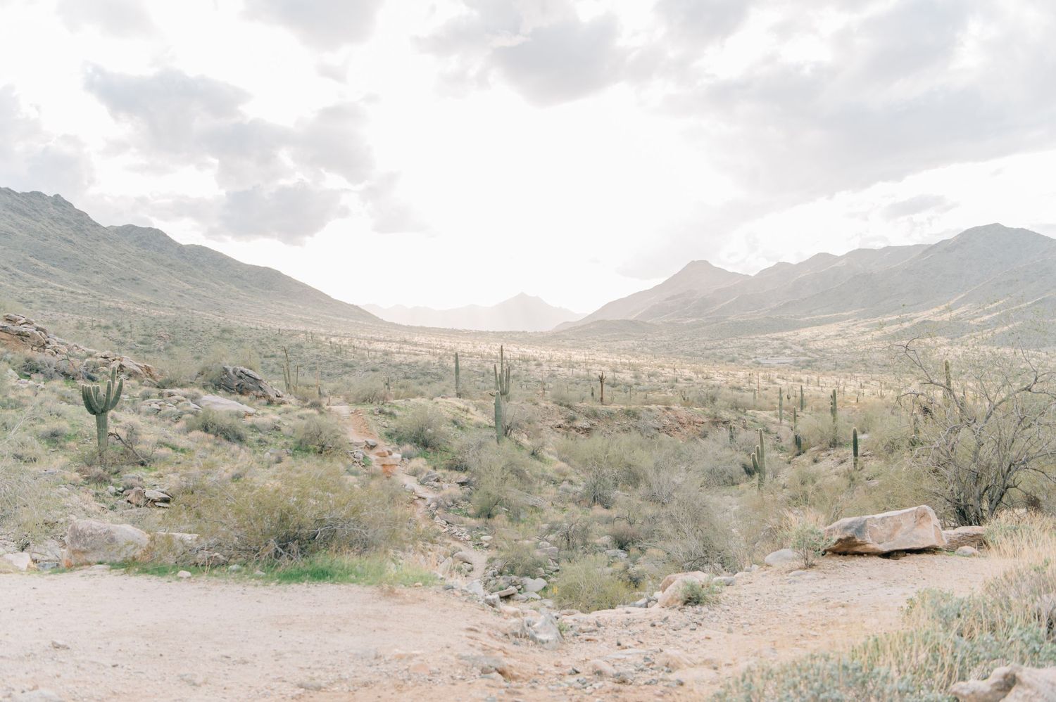 Vast Arizona desert landscape with saguaro cacti, rocky mountains, and arid terrain under a bright cloudy sky.