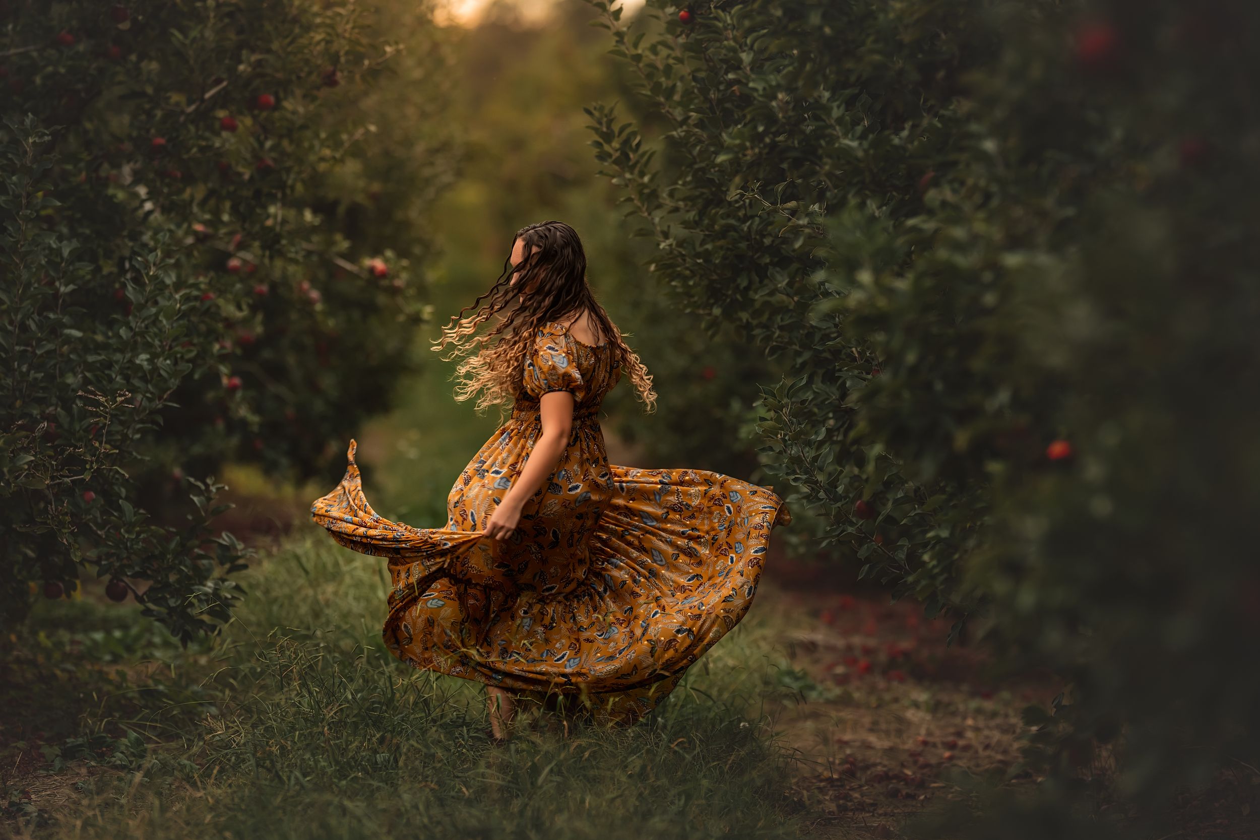 A senior girl with long curly hair spins in a flowing golden dress between apple trees for an orchard senior session.