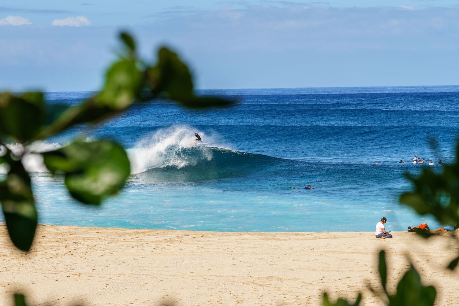 A breaking wave creates perfect surf conditions on a pristine beach framed by tropical foliage.