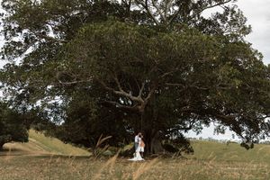A couple shares a romantic kiss beneath a massive ancient tree in a golden field during their outdoor wedding.