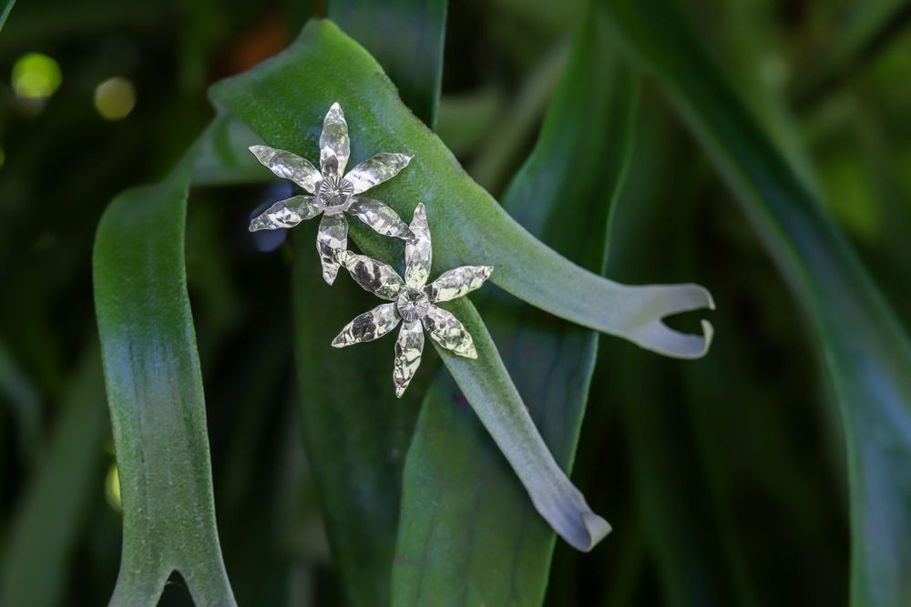 Sinistral Jewelry photographed by jenna james photography