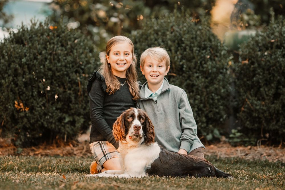 A brown and white dog sits with family members on grass during an autumn photo session outdoors.