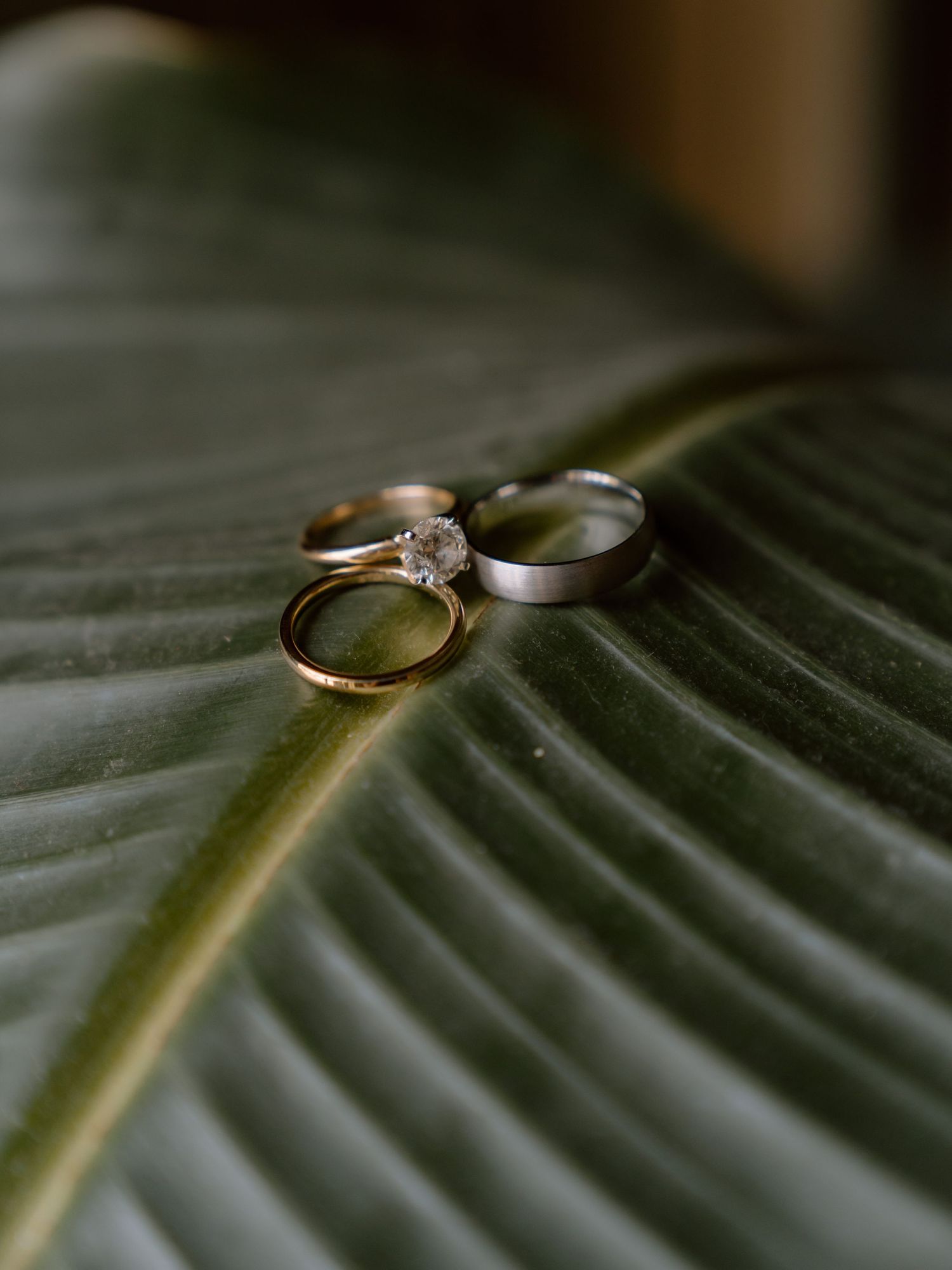 Three wedding rings displayed on a large green tropical leaf in an artistic wedding detail shot.