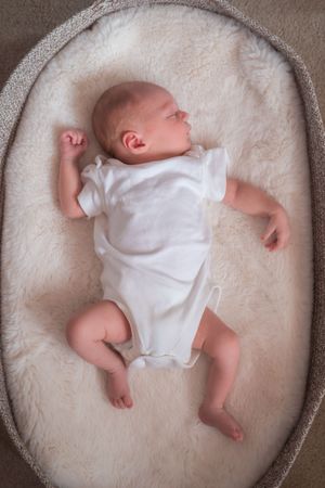 Newborn asleep in a basket. Natural