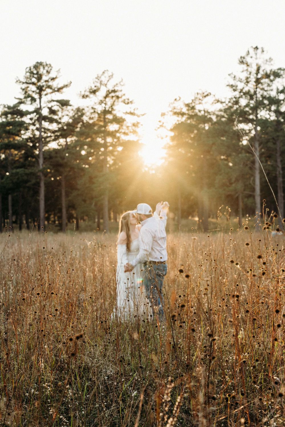 Two figures share an intimate moment in a sunlit meadow with towering pine trees silhouetted against the sky.