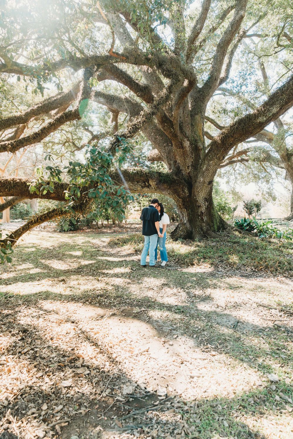 A couple stands beneath a majestic old oak tree with twisted branches casting dappled sunlight in a romantic setting.