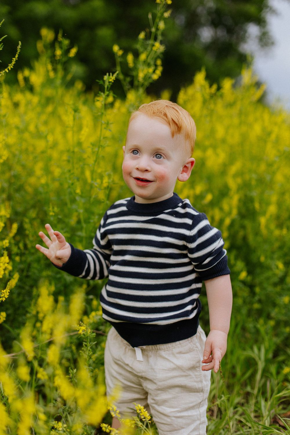 Cheerful red-haired toddler boy in a striped sweater standing among vibrant yellow wildflowers outdoors.
