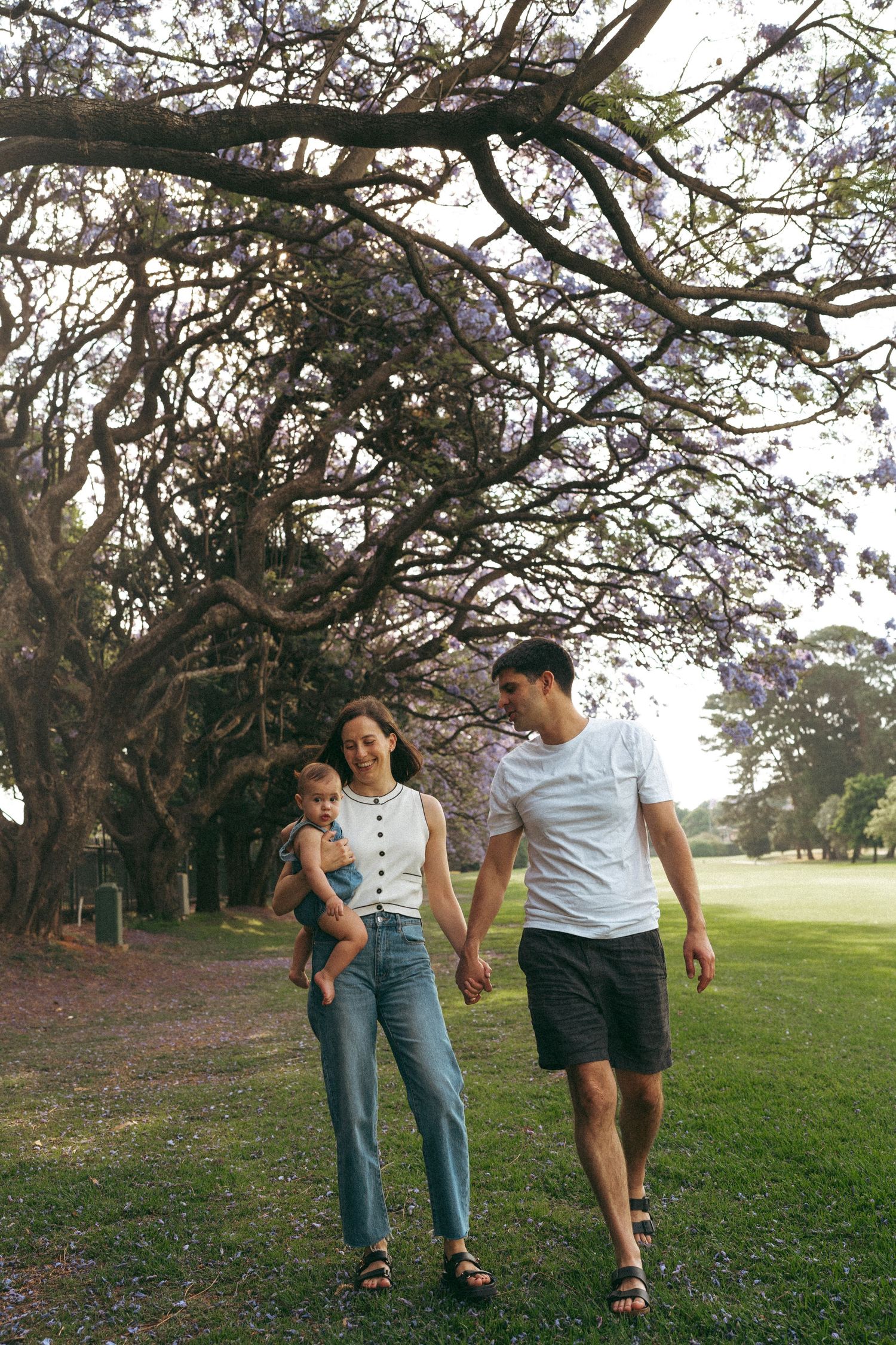 Family walking together on grassy hill under sprawling tree branches.