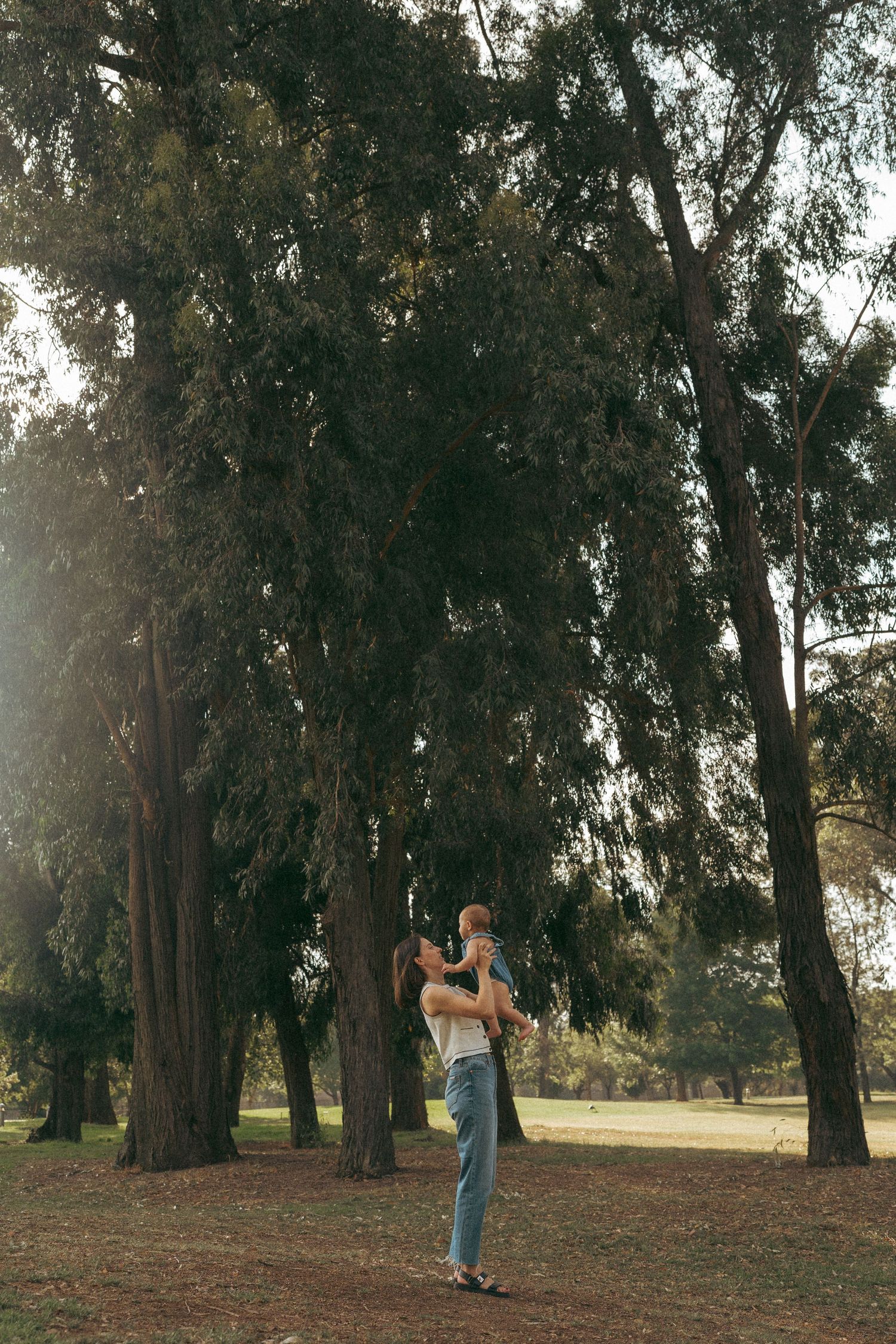 A tender moment between parent and child under towering eucalyptus trees in a park.