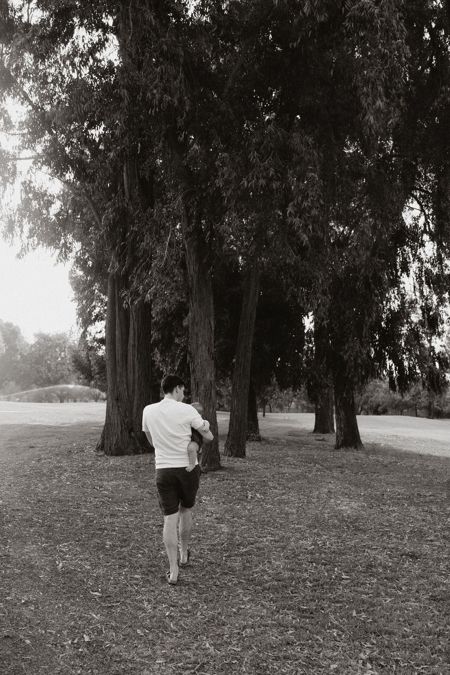 People walking together through a scenic park with tall trees.