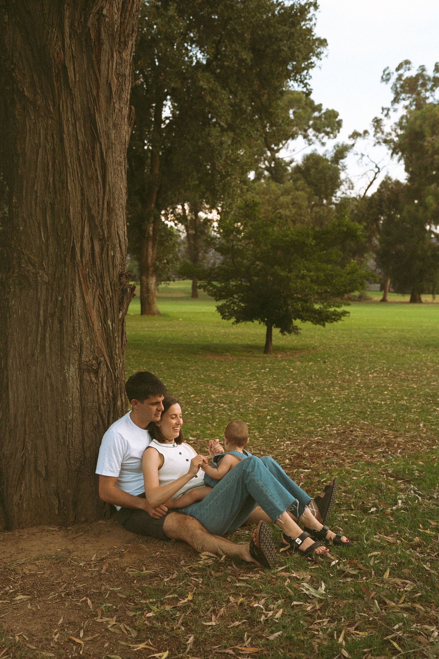 Family relaxing together under large trees in a peaceful park setting.