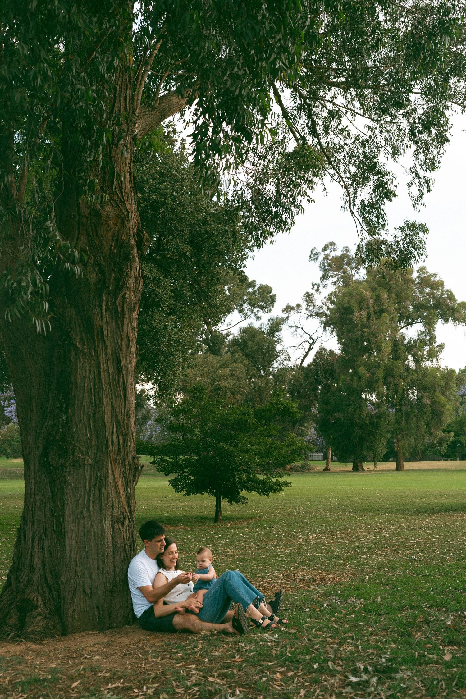 Family spending quality time together on fallen leaves under tall trees in a park.