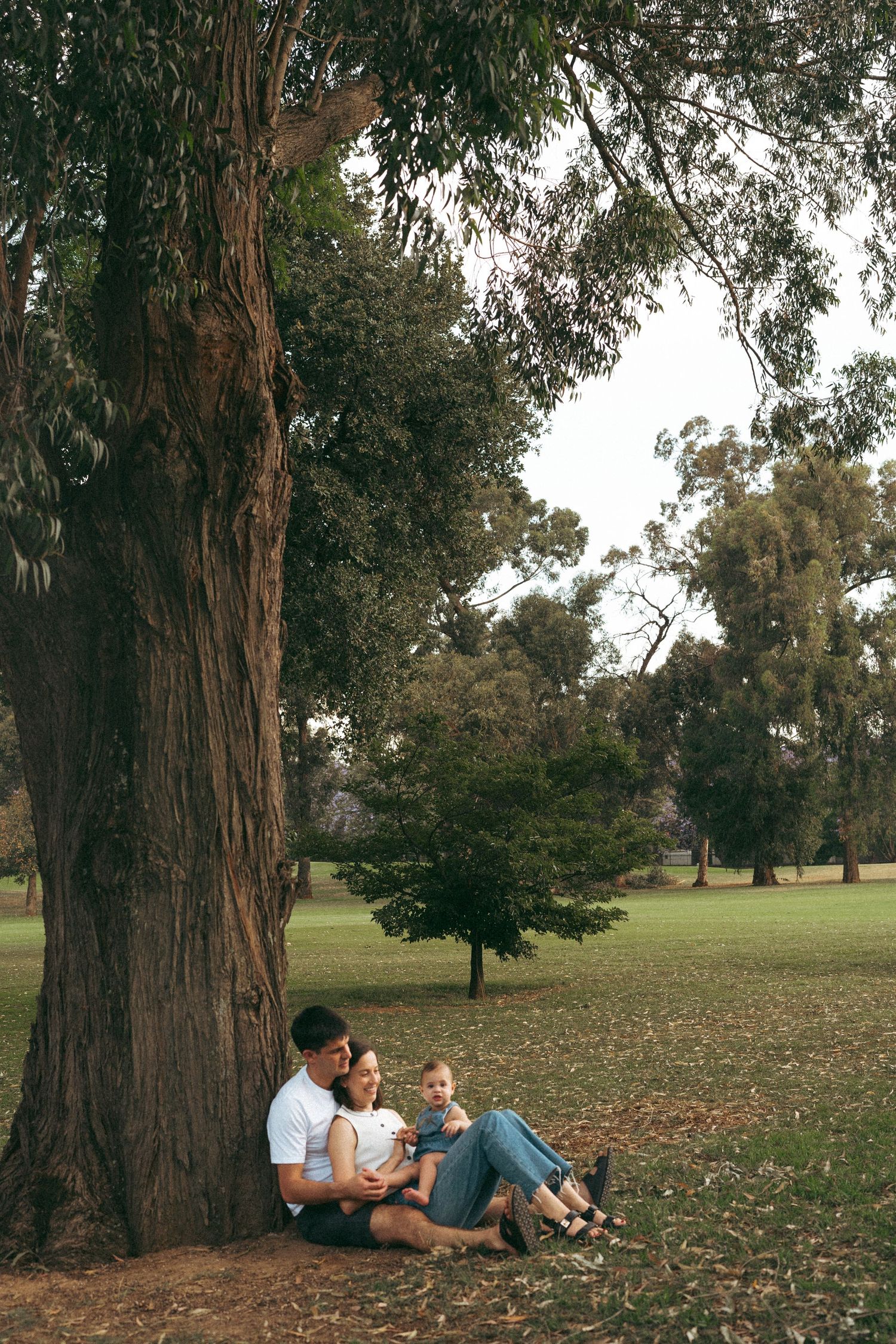 People resting against a large tree trunk in a serene park landscape.