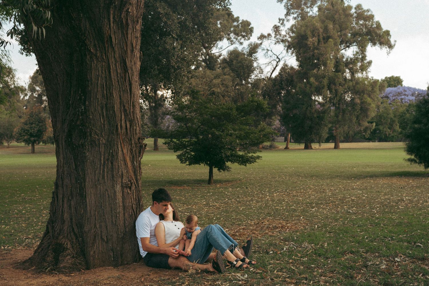 Peaceful afternoon scene of people relaxing in a park with mature trees.