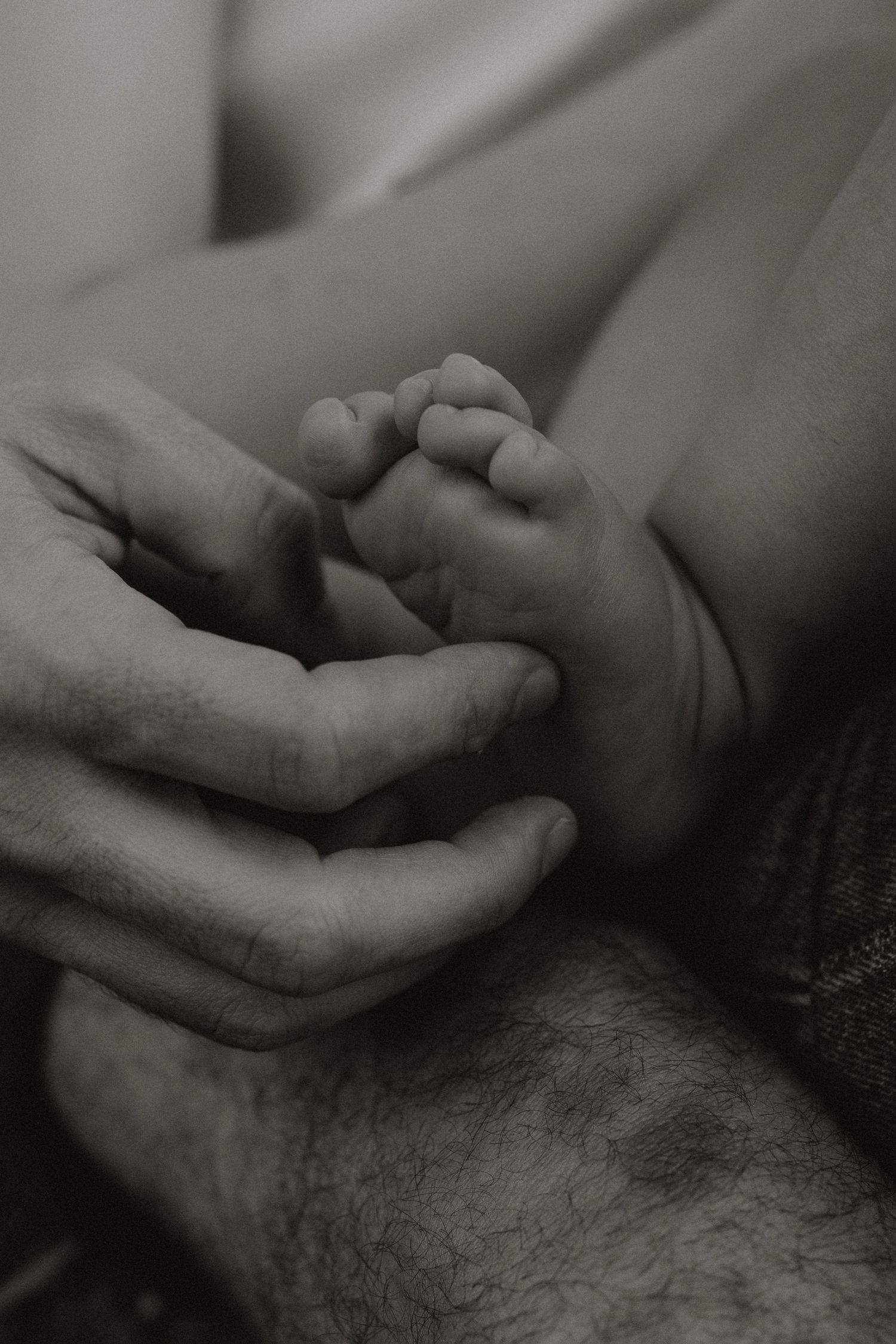 Intimate black and white photograph showing hands delicately touching.