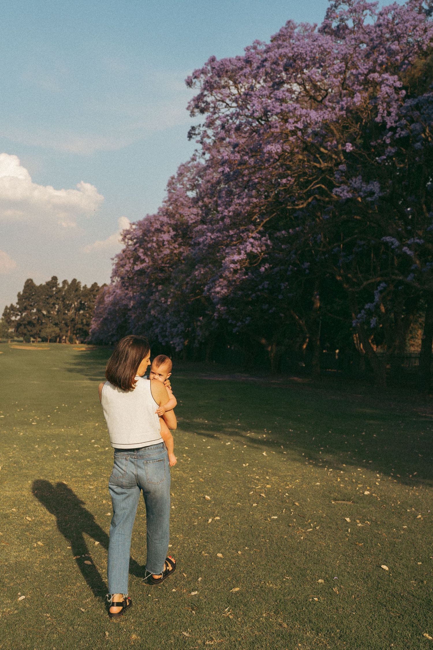 People walking under blooming purple jacaranda trees in a park on a sunny day.