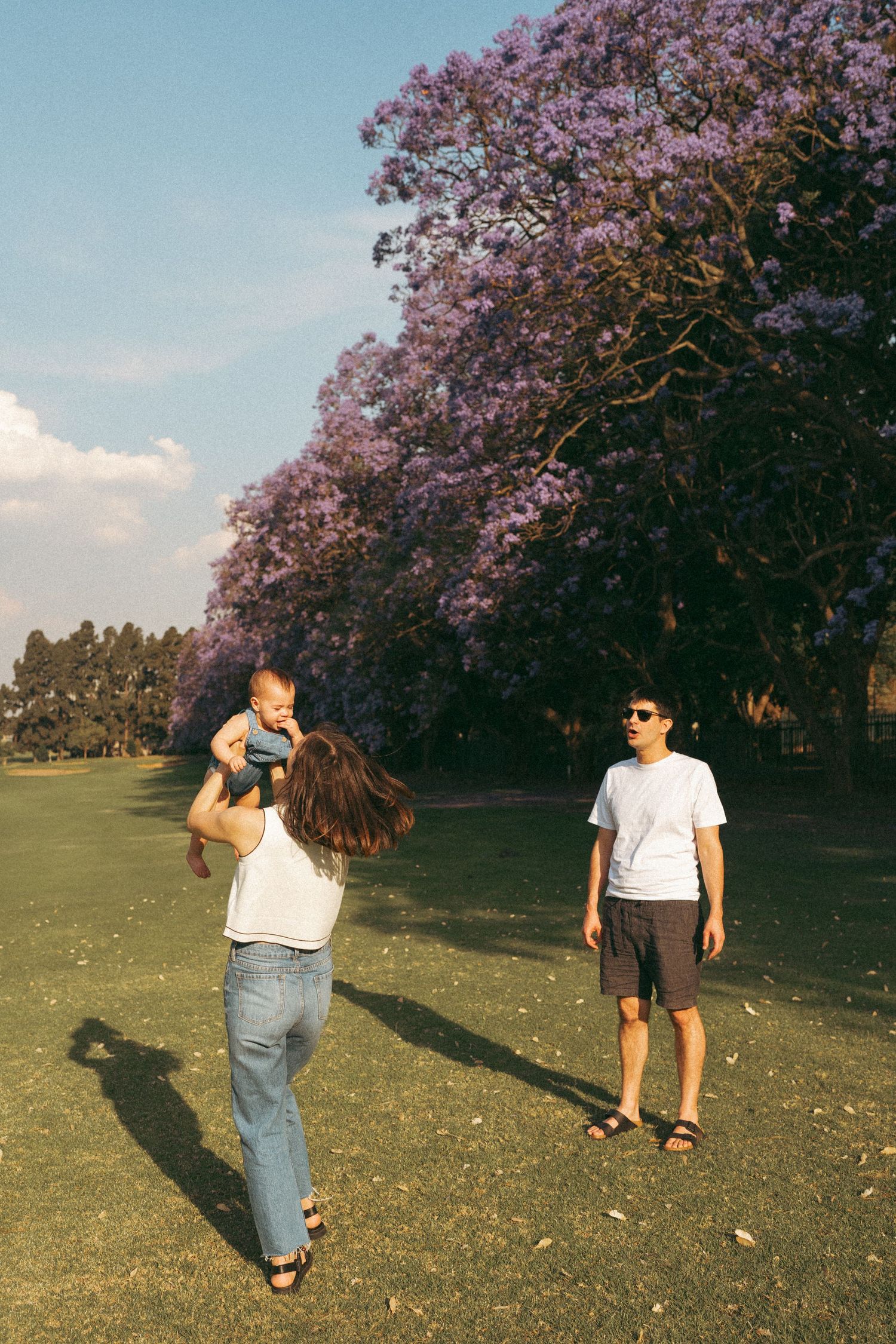 Group enjoying a casual stroll under flowering jacaranda trees in a grassy park.