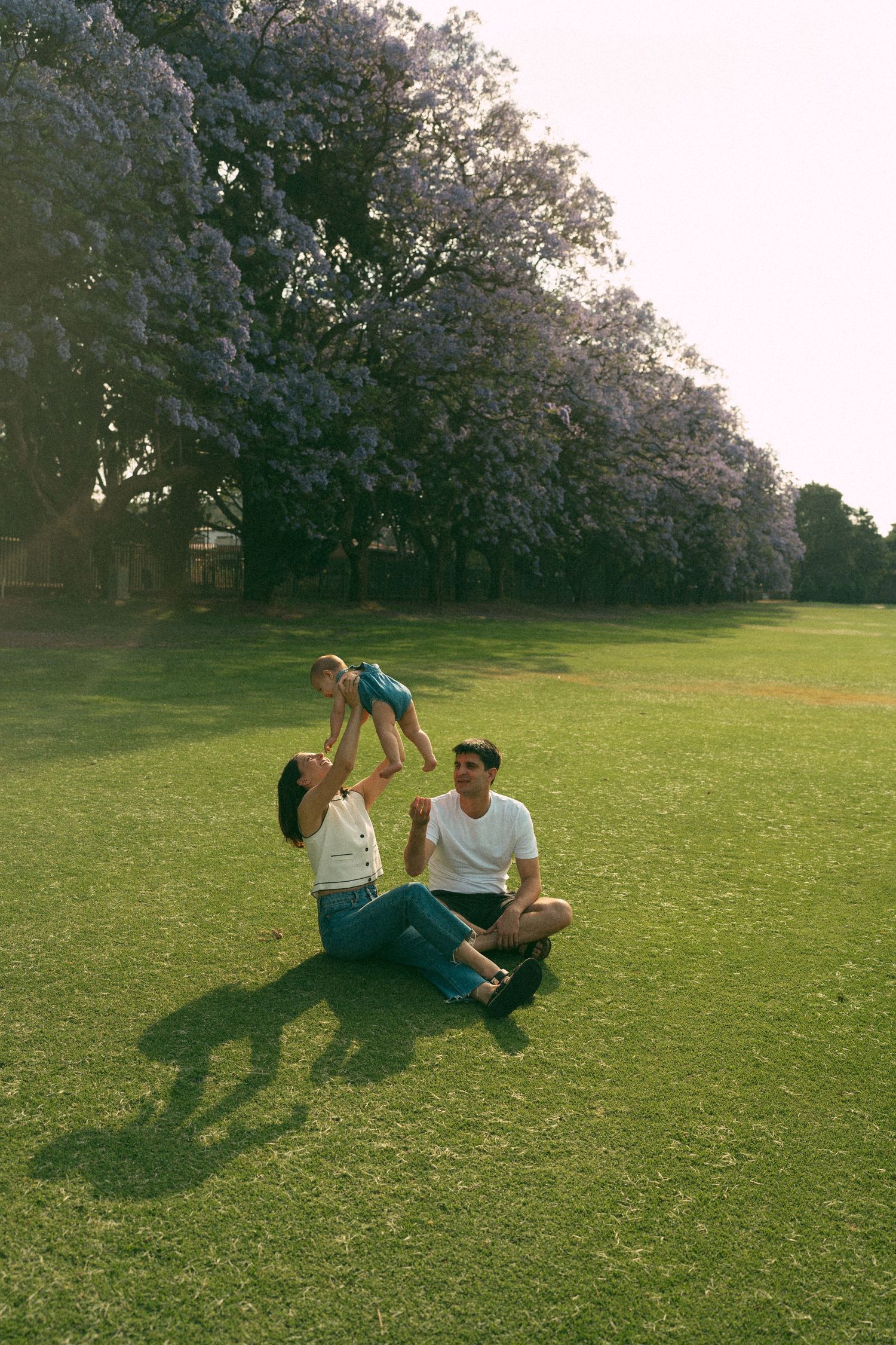 People relaxing on a grassy lawn beneath flowering trees during golden hour.