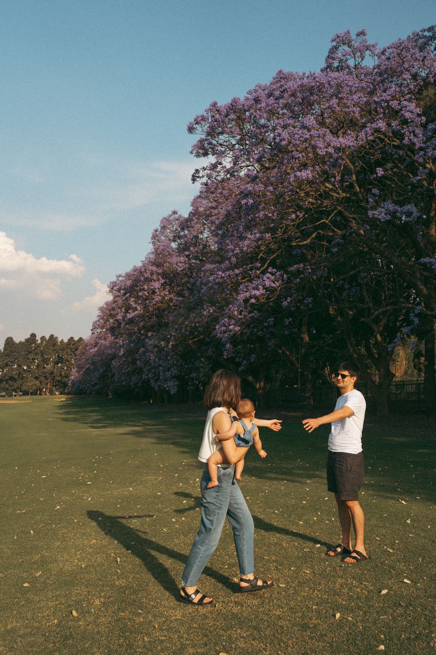 Friends enjoying a playful moment under blooming jacaranda trees in a sunny park.