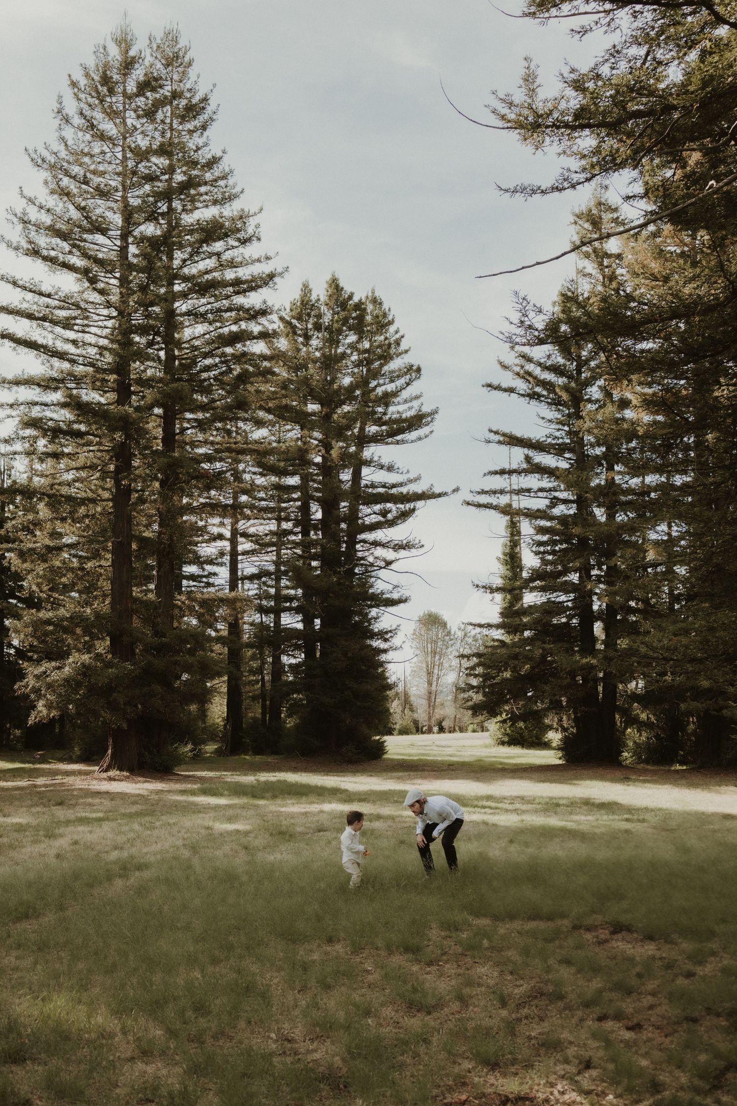 Two people playing in a grassy meadow surrounded by tall evergreen trees in Pialligo Redwood Forest Canberra