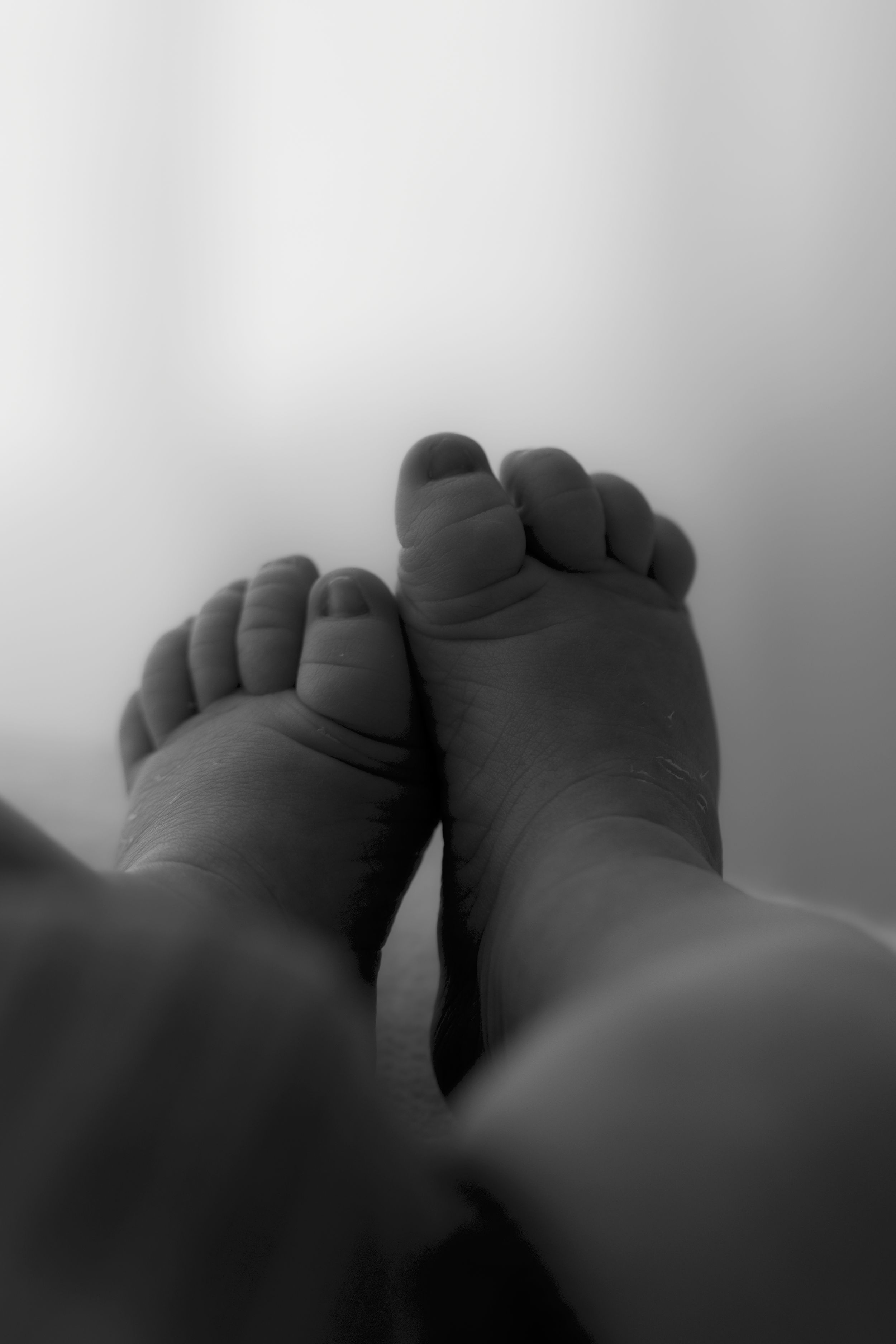 Close-up black and white photo of tiny newborn baby feet against a soft white background.
