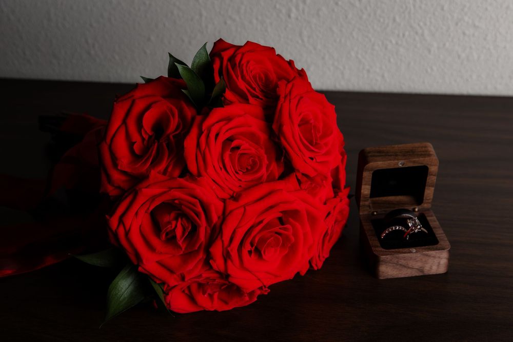Vibrant red roses arranged against a dark background with dramatic lighting.