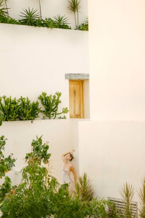Minimalist white wall garden with succulent plants and wooden window frames creates a modern tropical aesthetic.