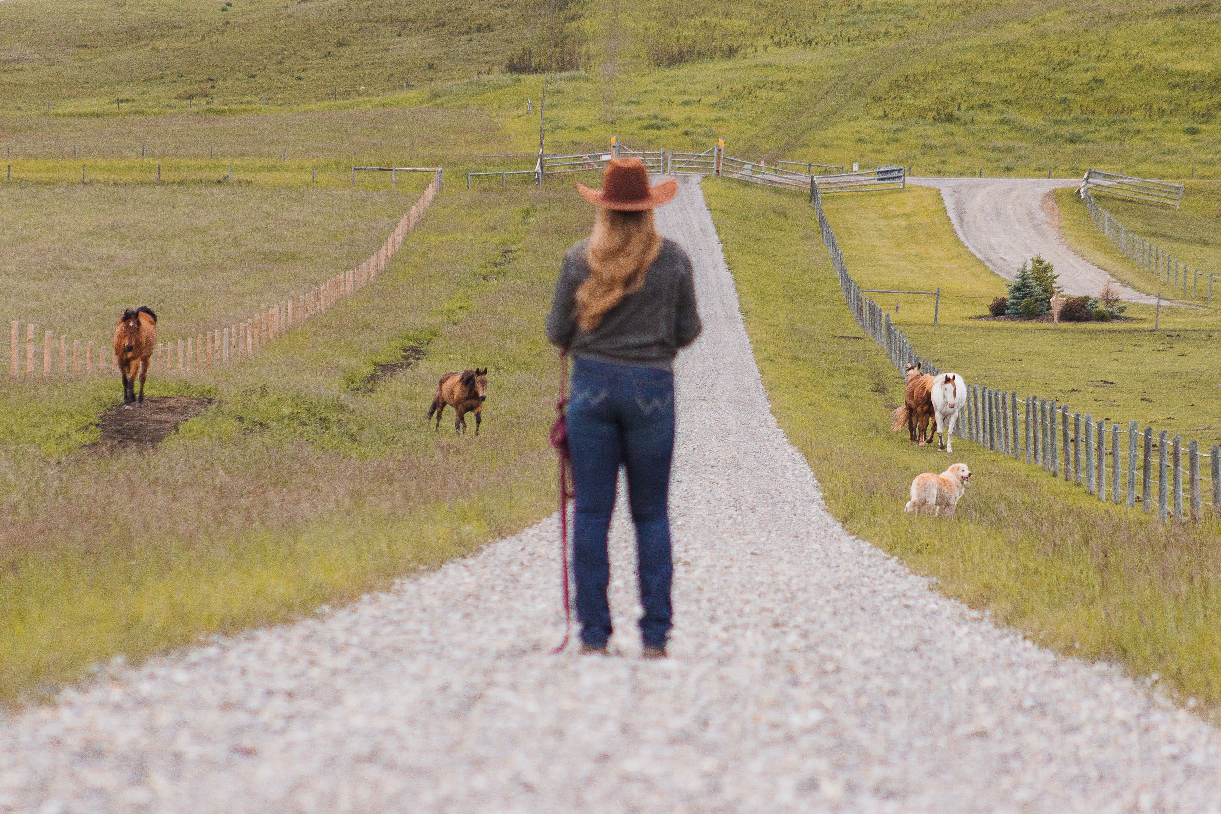 A western styled woman stands facing away from the camera towards four horses making their way towards the camera. There is a golden dog.