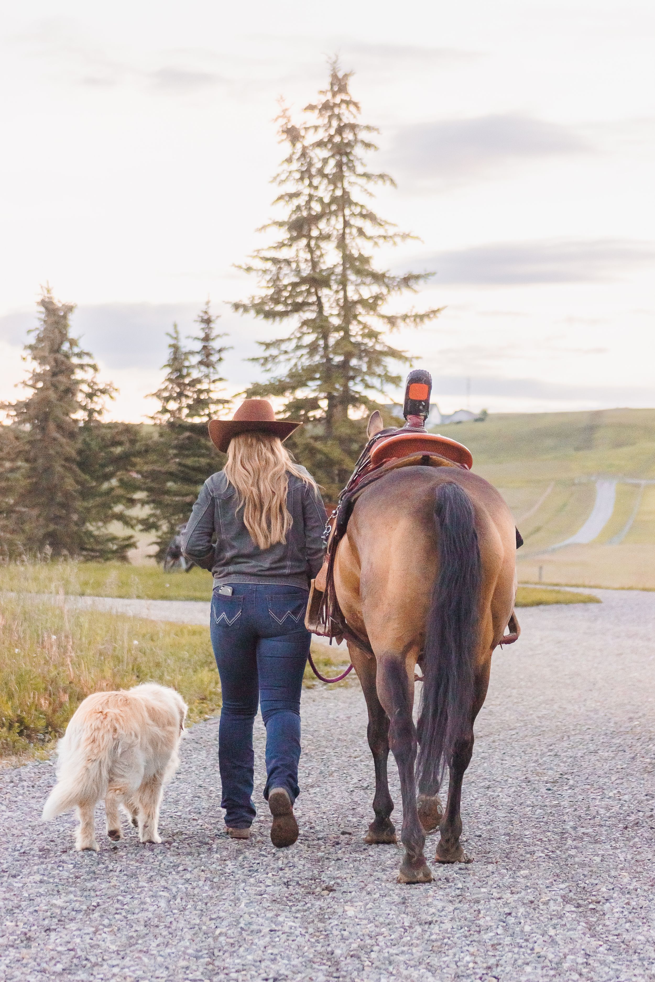 A photo of a woman, her horse, and gold coloured dog walking away from the camera on a gravel road.