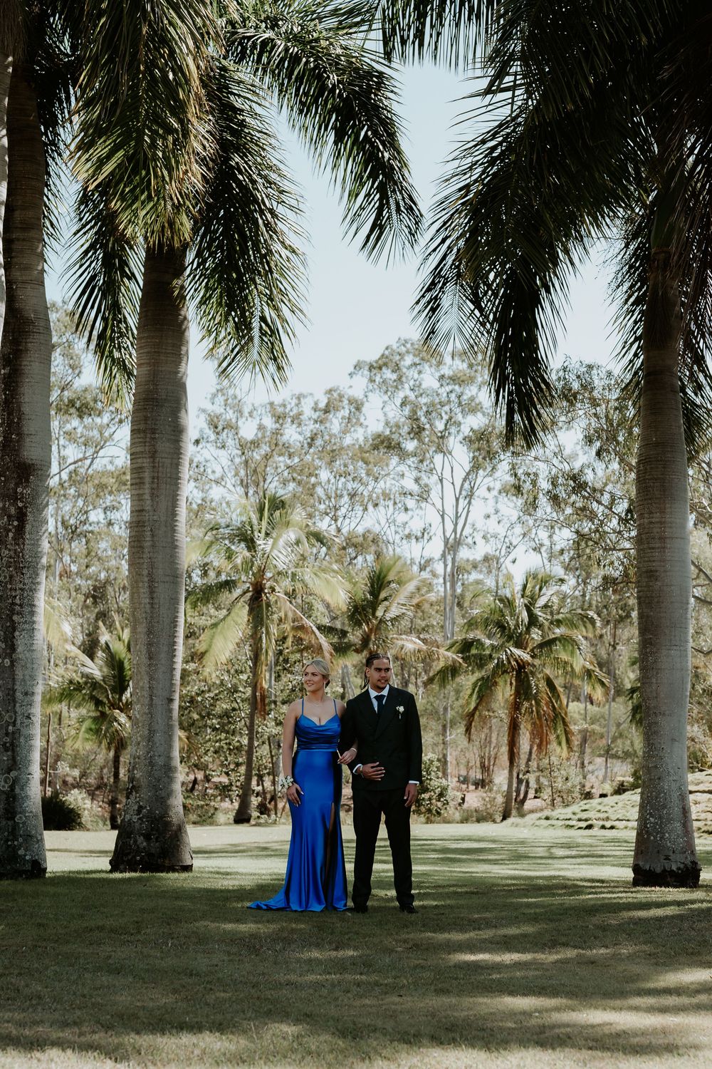 A scenic outdoor photo with tall palm trees creating a natural archway in a gladstone park setting.