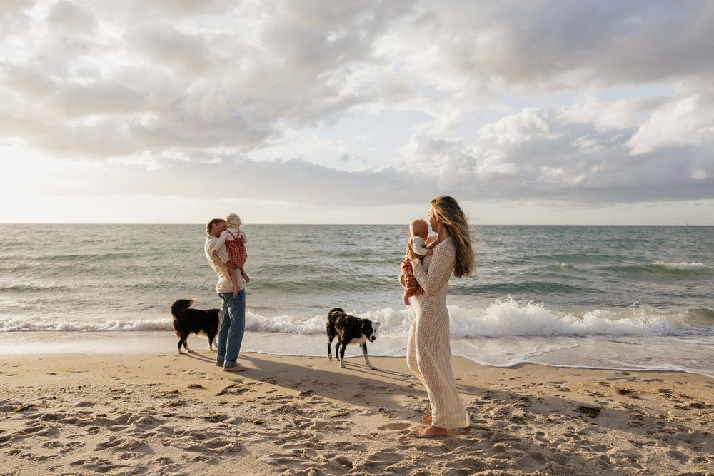 Family and dogs enjoy peaceful walk along ocean beach at sunset.