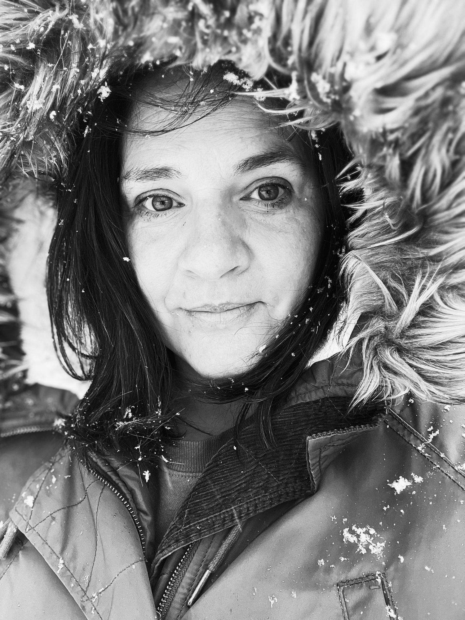 Family portrait session at a Christmas tree farm with evergreen trees in background.