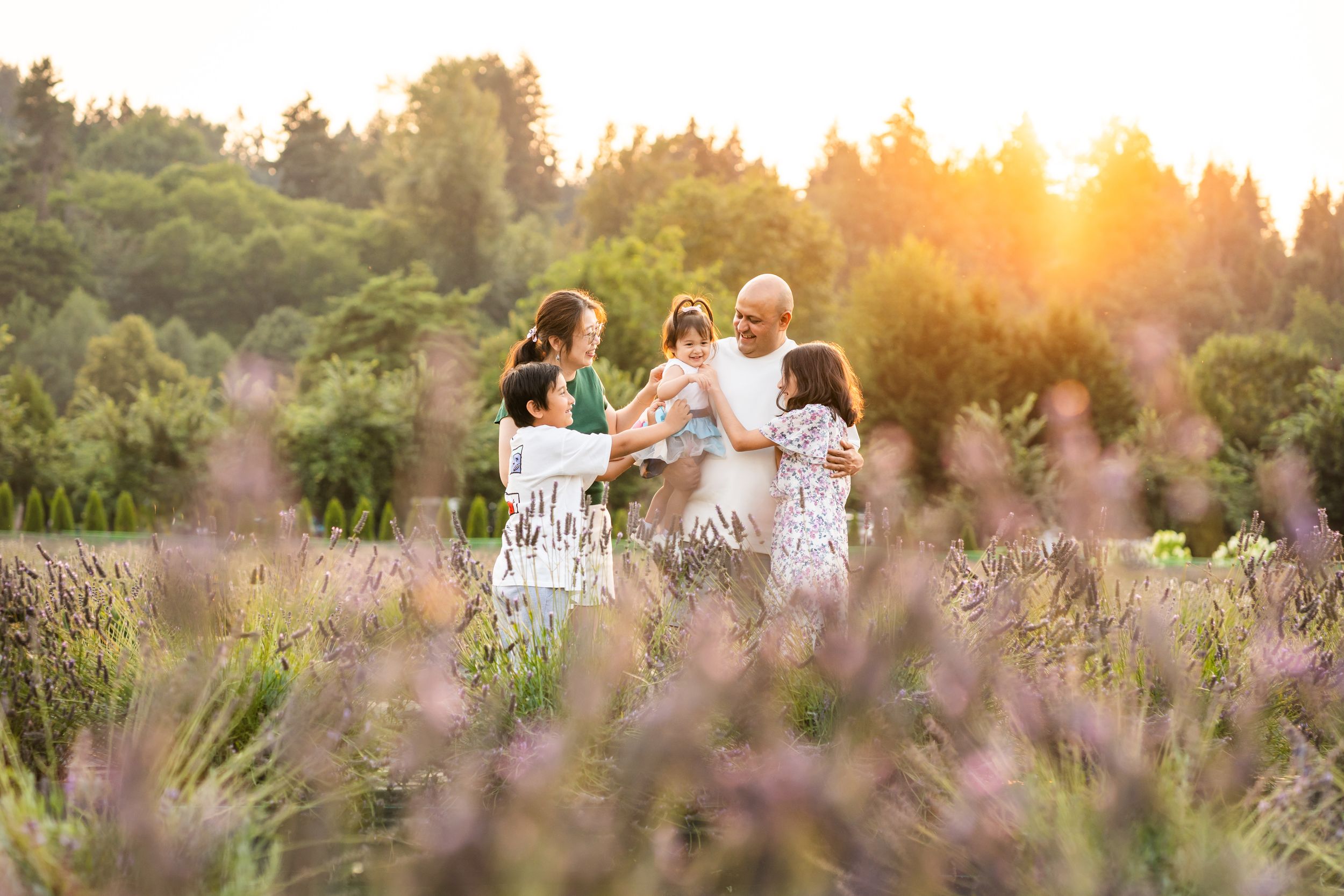 Family tickling each other in a lavender field at sunset in Woodinville.