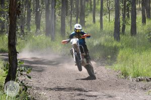 Motorbike doing a wheelie