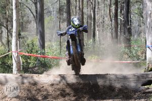 Motorbike jumping a log