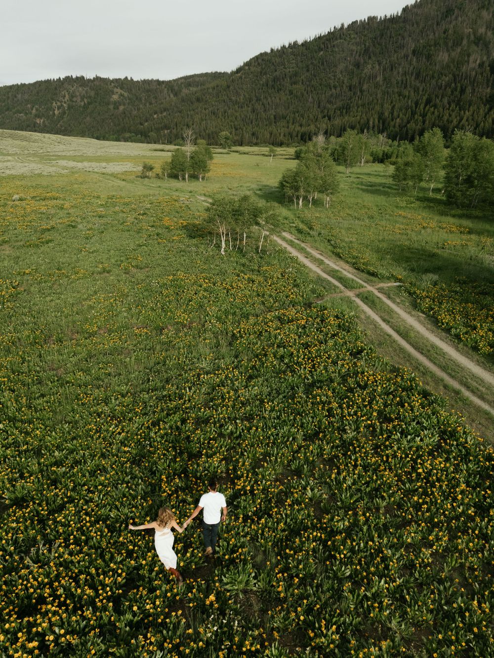 Aerial view of dirt path through wildflower meadow with mountains in distance.