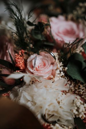 Close-up view of delicate pink and white roses with dark green foliage in a moody, romantic composition.