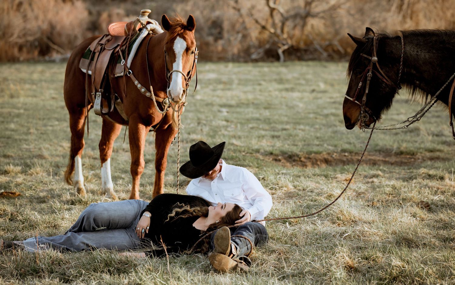 Equine Photographer