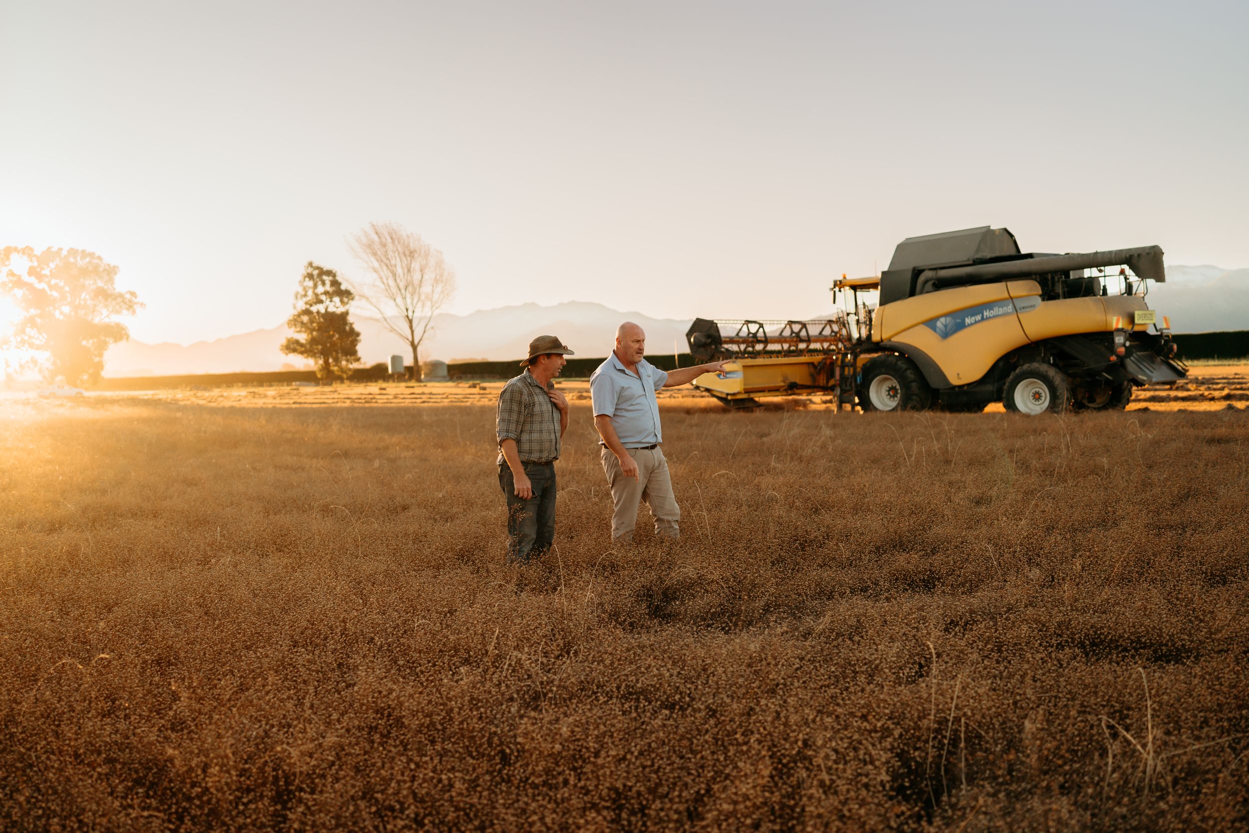 Sunset session for Bio Oils new zealand