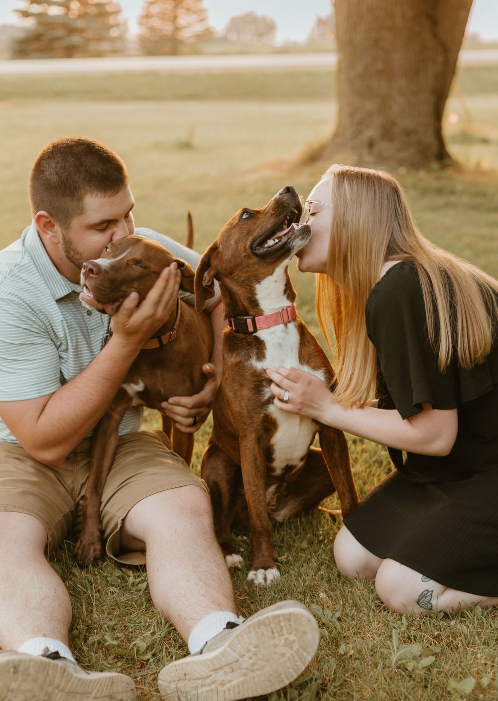golden hour family with dogs
