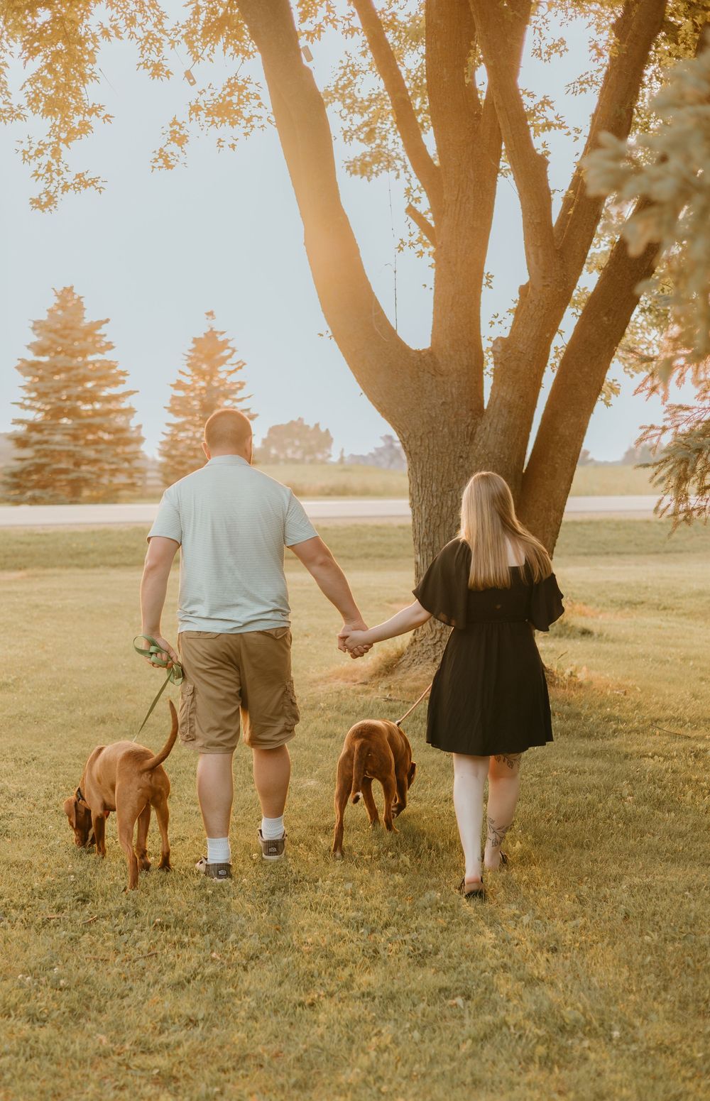 golden hour family with dogs