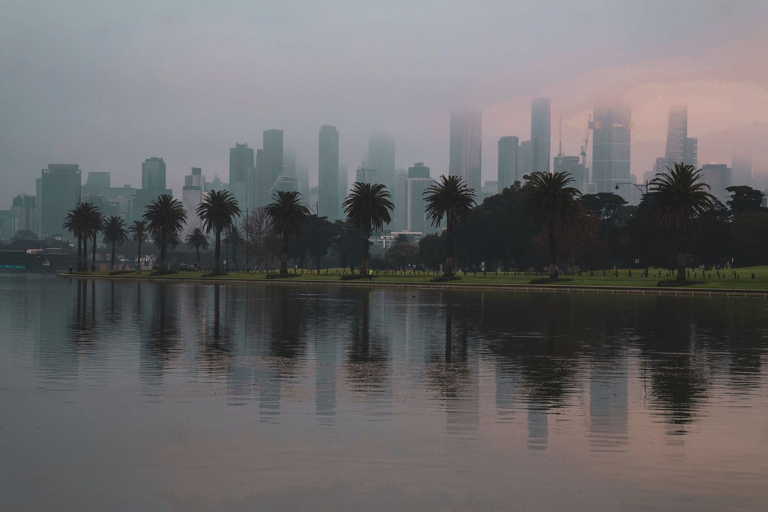 Misty Melbourne skyline reflected in calm lake waters at dusk, framed by silhouetted palm trees in a waterfront park.
